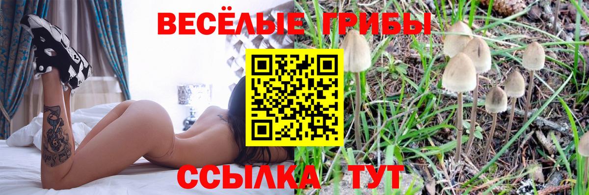Галлюциногенные грибы мицелий  Псилоцибиновые грибы GOLDEN TEACHER  Минеральные Воды  Вход с VPN 